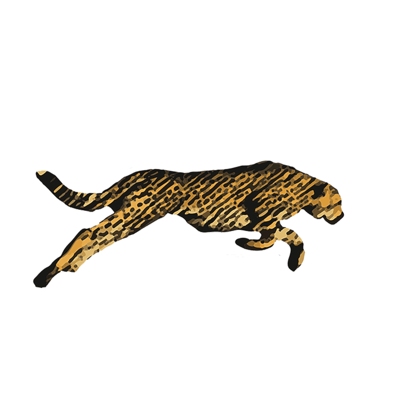 Logo for  Cheetah's of Florence