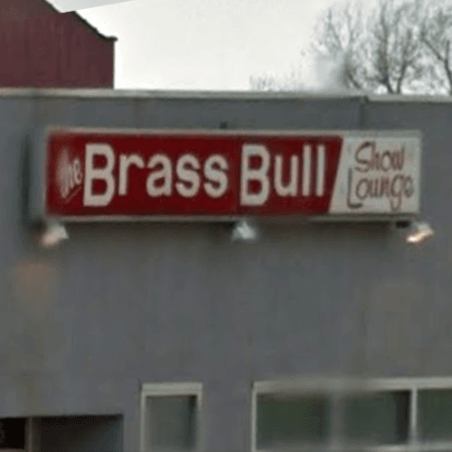 Logo for Brass Bull