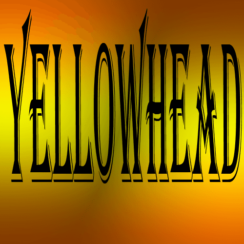 Logo for Yellowhead Motor Inn