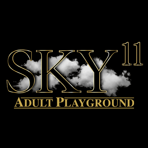 Logo for Sky11
