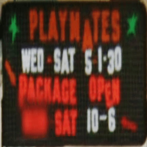 Logo for Playmates