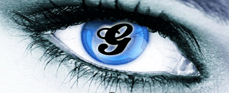 Logo for Godfathers 2