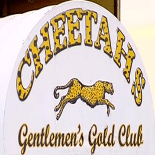 Logo for Cheetahs