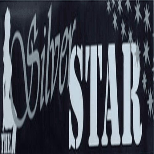 Logo for The Silver Star