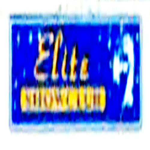 Logo for Elite Showclub