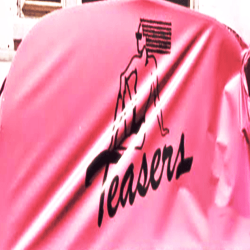 Logo for Teasers