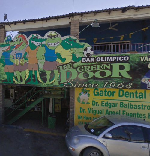 Logo for The Green Door