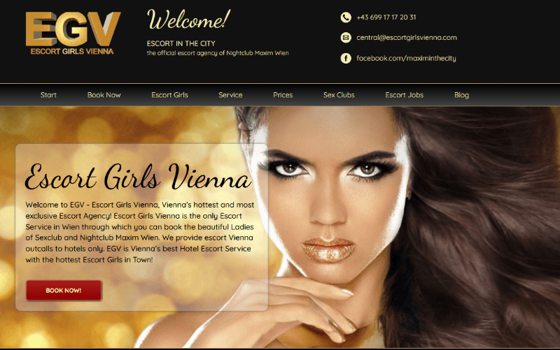 Logo for Escort Girls Vienna