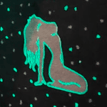 Logo for Tails n Trails