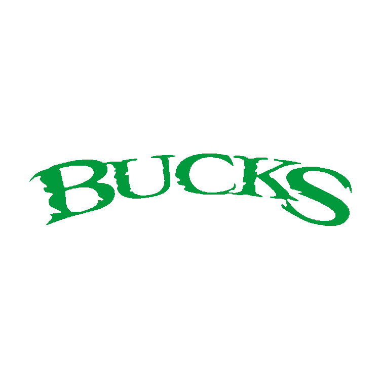 Logo for Bucks Wild South